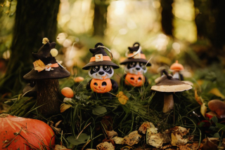 Klíčenka panda v dýni